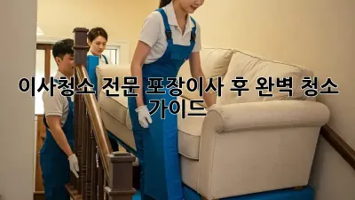 이사청소 전문: 포장이사 후 완벽 청소 가이드