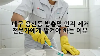 대구 용산동 방충망 먼지 제거, 전문가에게 맡겨야 하는 이유!