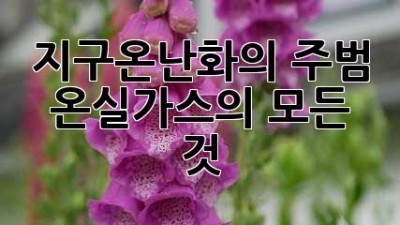 지구온난화의 주범, 온실가스의 모든 것